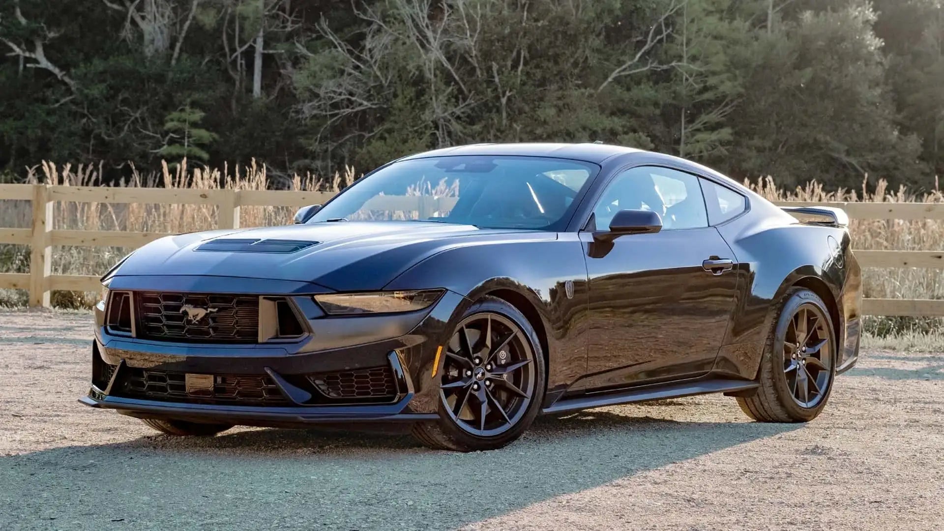 Mustang