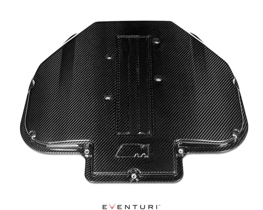 EVENTURI BMW E39 M5 CARBON PLENUM LID