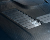 CT CARBON BMW M2 HOOD