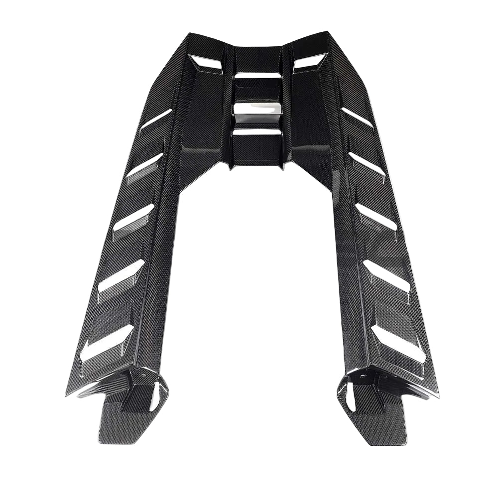 CT CARBON LAMBORGHINI REVUELTO